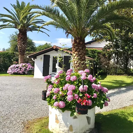 Maison Yoda Casa vacanze *